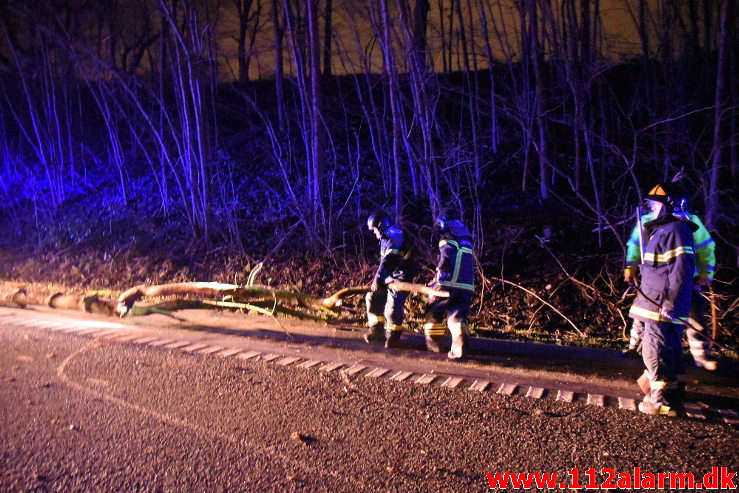 Pludselig lå der et træ tværs over vejen. Koldingvej ved Vejle. 11/01-2020. Kl. 17:54.