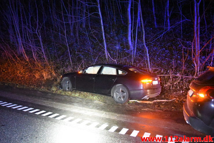 Pludselig lå der et træ tværs over vejen. Koldingvej ved Vejle. 11/01-2020. Kl. 17:54.