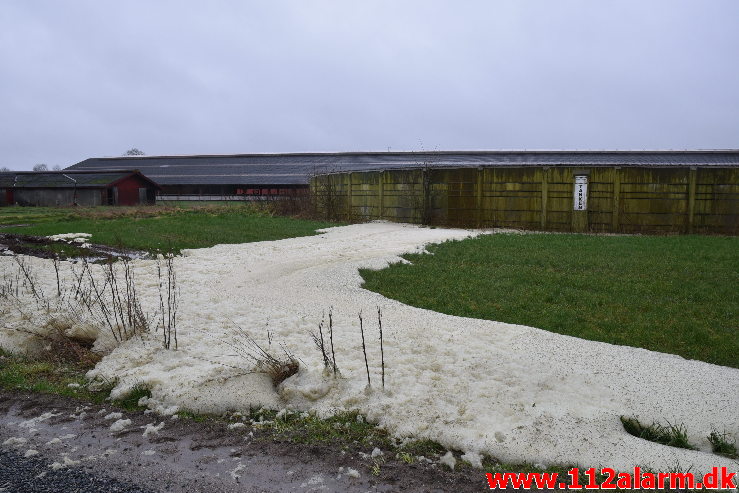 Større Gylle udslip. Knudevej i Sdr. Kollemorten. 31/01-2020. Kl. 13:49.