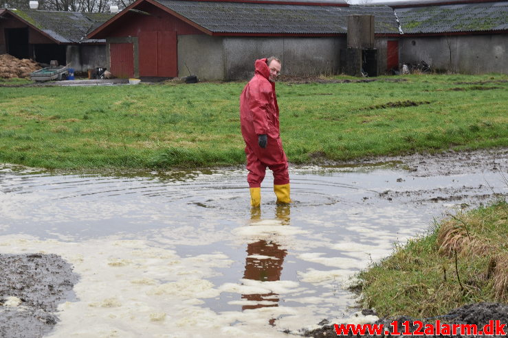 Større Gylle udslip. Knudevej i Sdr. Kollemorten. 31/01-2020. Kl. 13:49.