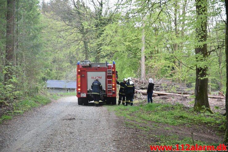 Mindre Naturbrand. Skovgade i Jelling. 07/05-2020. Kl. 20:18.