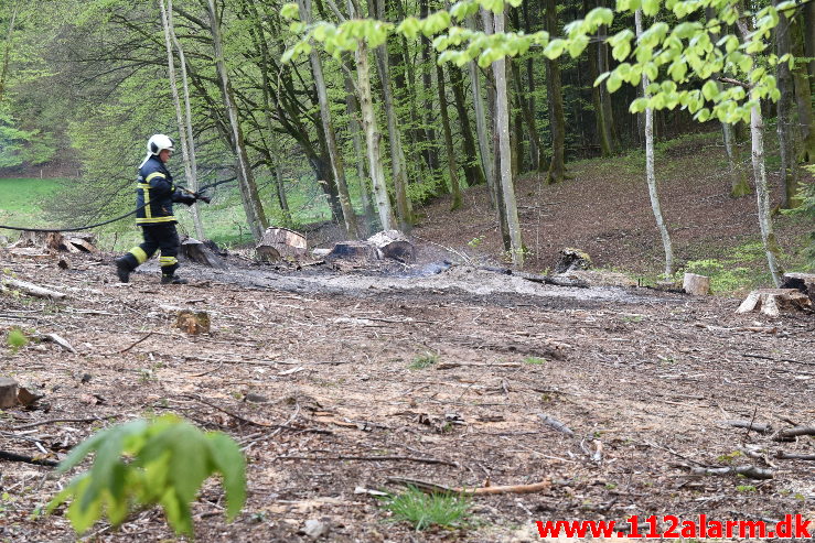 Mindre Naturbrand. Skovgade i Jelling. 07/05-2020. Kl. 20:18.