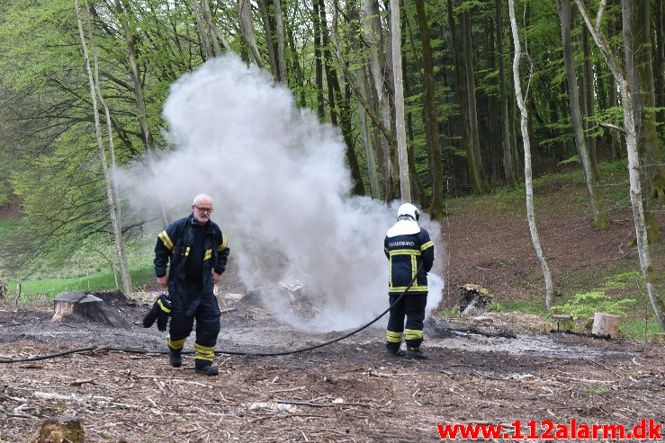 Mindre Naturbrand. Skovgade i Jelling. 07/05-2020. Kl. 20:18.