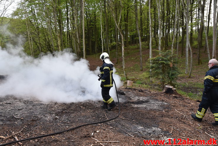 Mindre Naturbrand. Skovgade i Jelling. 07/05-2020. Kl. 20:18.