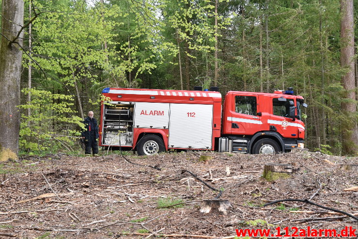 Mindre Naturbrand. Skovgade i Jelling. 07/05-2020. Kl. 20:18.