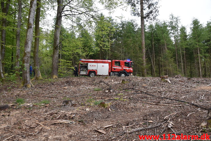 Mindre Naturbrand. Skovgade i Jelling. 07/05-2020. Kl. 20:18.