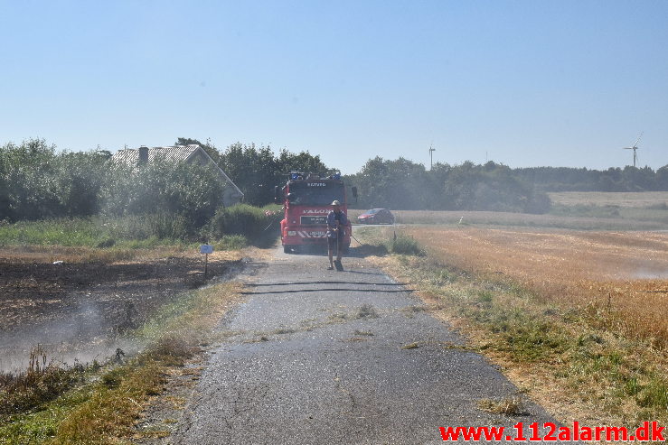 Bil satte ild til marken. Rugsted Tværvej ved Rugsted. 15/08-2020. Kl. 12:33.