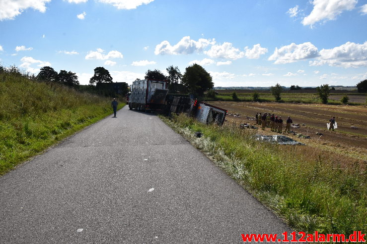 Væltet Grisetransport. Potmosevej ved Østbirk. 02/09-2020. Kl 09:47.