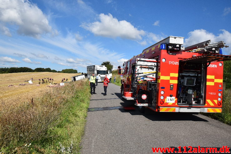 Væltet Grisetransport. Potmosevej ved Østbirk. 02/09-2020. Kl 09:47.