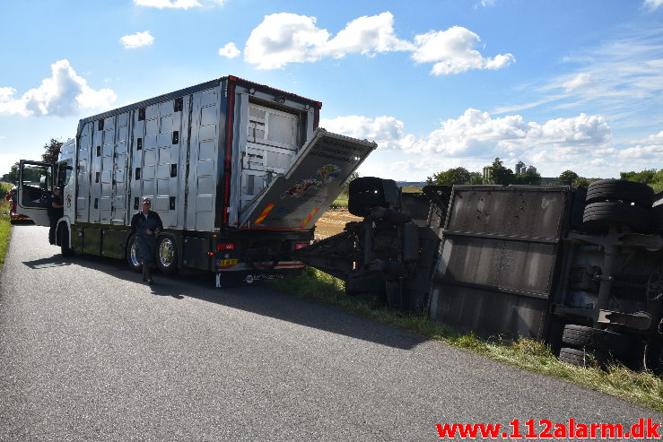 Væltet Grisetransport. Potmosevej ved Østbirk. 02/09-2020. Kl 09:47.