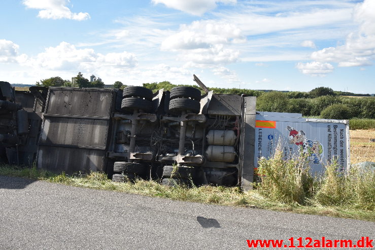 Væltet Grisetransport. Potmosevej ved Østbirk. 02/09-2020. Kl 09:47.