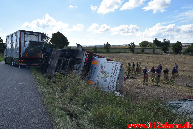 Væltet Grisetransport. Potmosevej ved Østbirk. 02/09-2020. Kl 09:47.