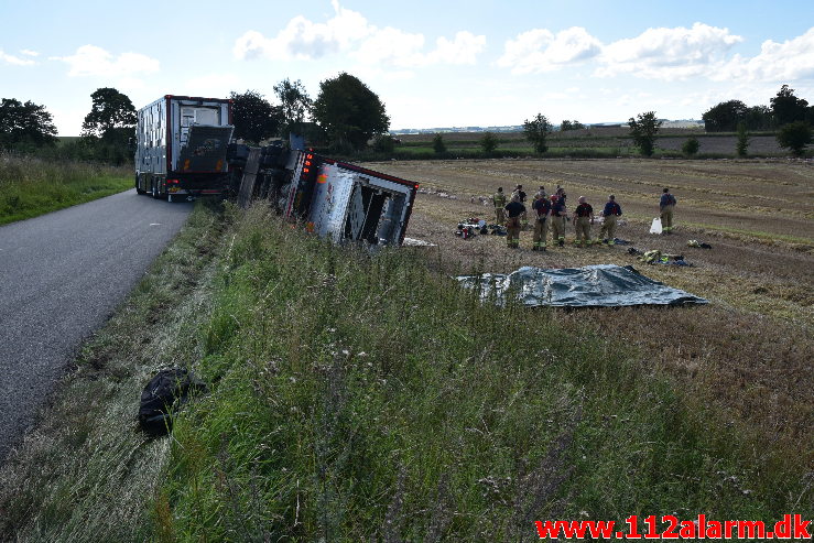 Væltet Grisetransport. Potmosevej ved Østbirk. 02/09-2020. Kl 09:47.