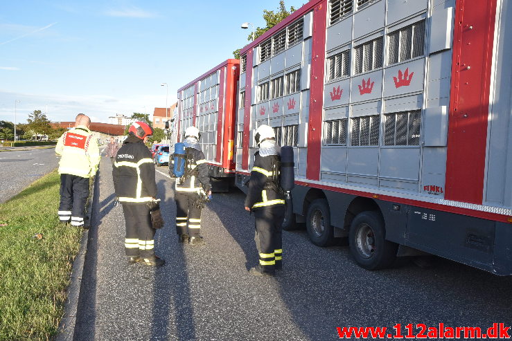 En grisetransport fik varme bremser. Damhaven 13 i Vejle. 07/09-2020. Kl. 18:44.