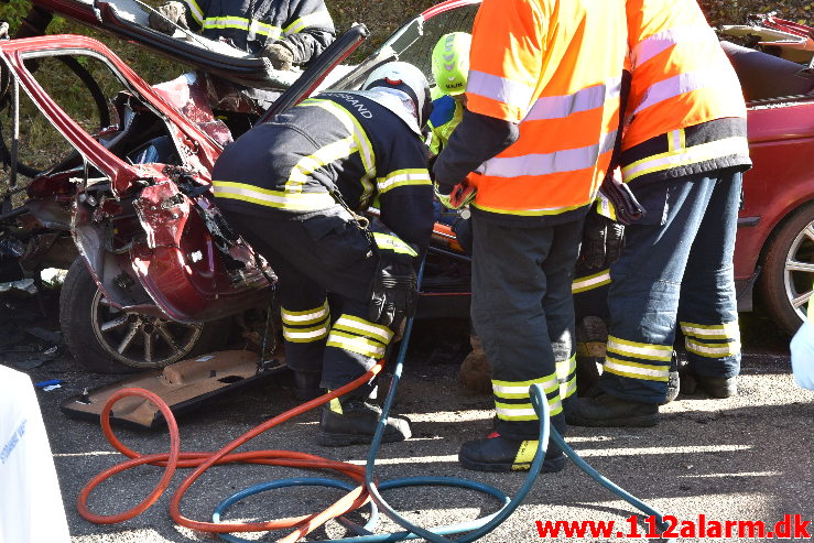 Banket op bag i en Traktor på rastepladsen. Ribe Landevej ved Nørre Vilstrup. 17/10-2020. Kl. 13:02.