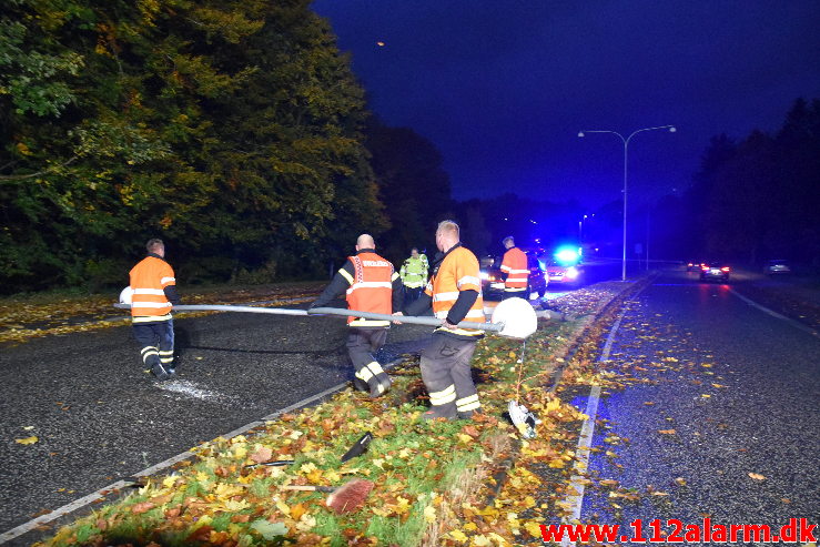 Ramte en lygtepæl. Grønlandsvej her i Vejle. 22/10-2020. Kl. 18:19.