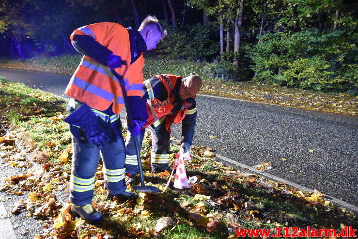 Ramte en lygtepæl. Grønlandsvej her i Vejle. 22/10-2020. Kl. 18:19.