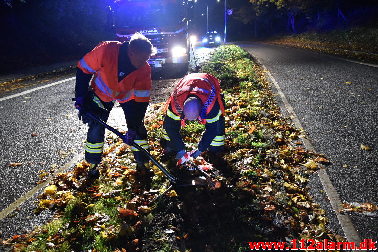 Ramte en lygtepæl. Grønlandsvej her i Vejle. 22/10-2020. Kl. 18:19.