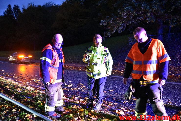 Ramte en lygtepæl. Grønlandsvej her i Vejle. 22/10-2020. Kl. 18:19.