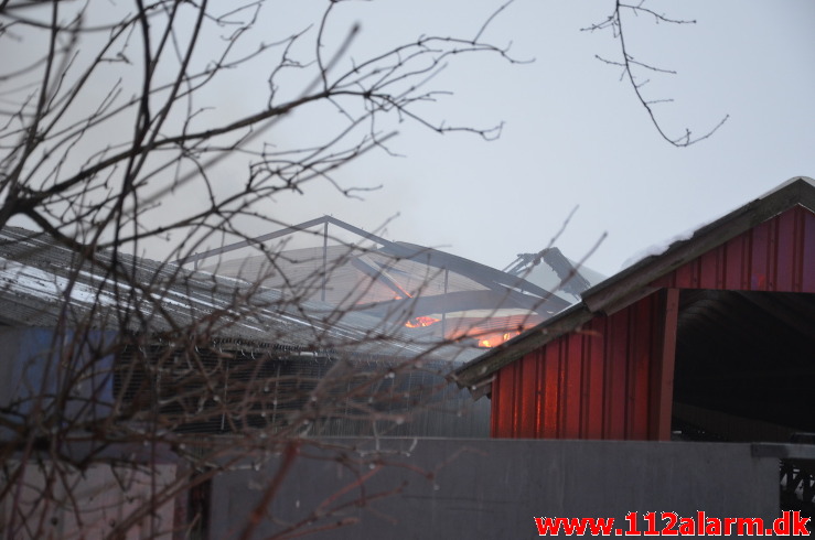 Gårdbrand / Minkhal. Vestermarksvej i Løsning. 16/02-2021. Kl. 13:36.