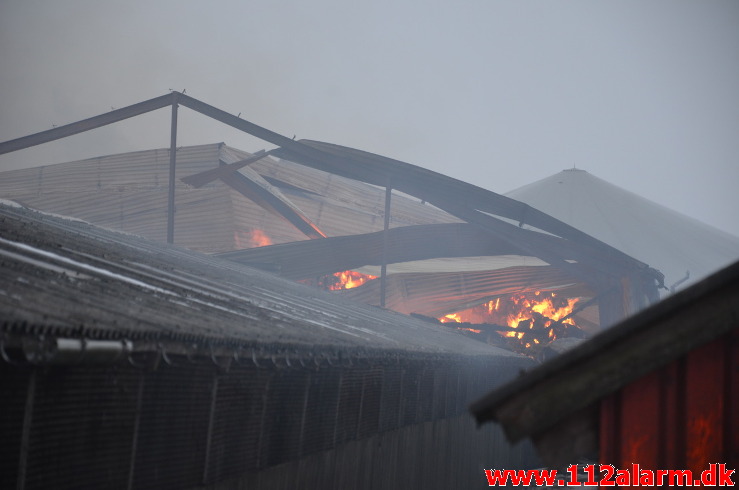 Gårdbrand / Minkhal. Vestermarksvej i Løsning. 16/02-2021. Kl. 13:36.