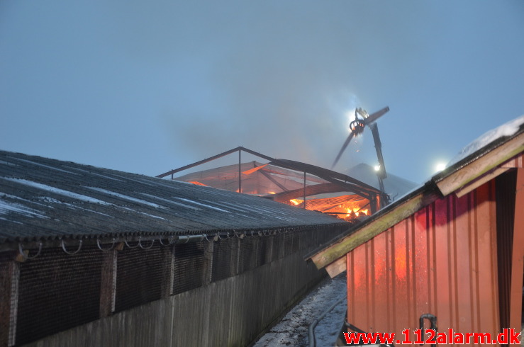 Gårdbrand / Minkhal. Vestermarksvej i Løsning. 16/02-2021. Kl. 13:36.