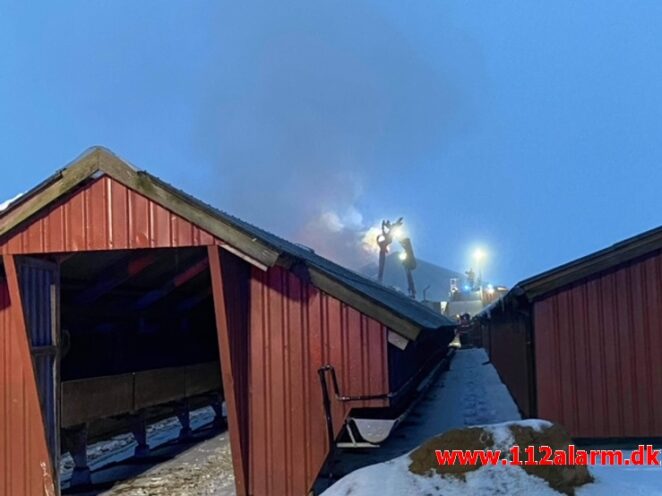 Gårdbrand / Minkhal. Vestermarksvej i Løsning. 16/02-2021. Kl. 13:36.