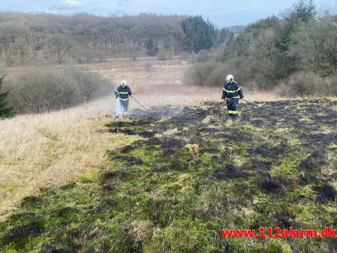 Ild i Skråning. Ribevej ved Egtved. 24/02-2021. KL. 13:21.