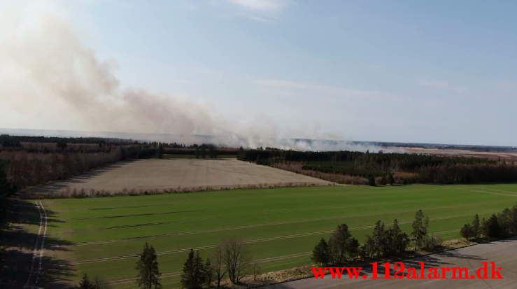 Brand på Randbøl Hede. Frederikshåbvej Randbøl. 17/04-2021. Kl. 15:22.