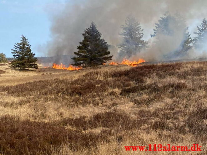 Brand på Randbøl Hede. Frederikshåbvej Randbøl. 17/04-2021. Kl. 15:22.