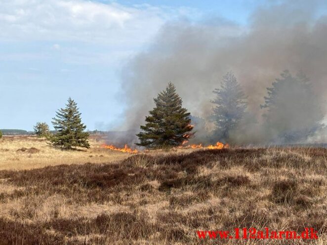 Brand på Randbøl Hede. Frederikshåbvej Randbøl. 17/04-2021. Kl. 15:22.