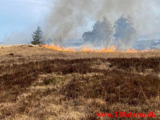 Brand på Randbøl Hede. Frederikshåbvej Randbøl. 17/04-2021. Kl. 15:22.