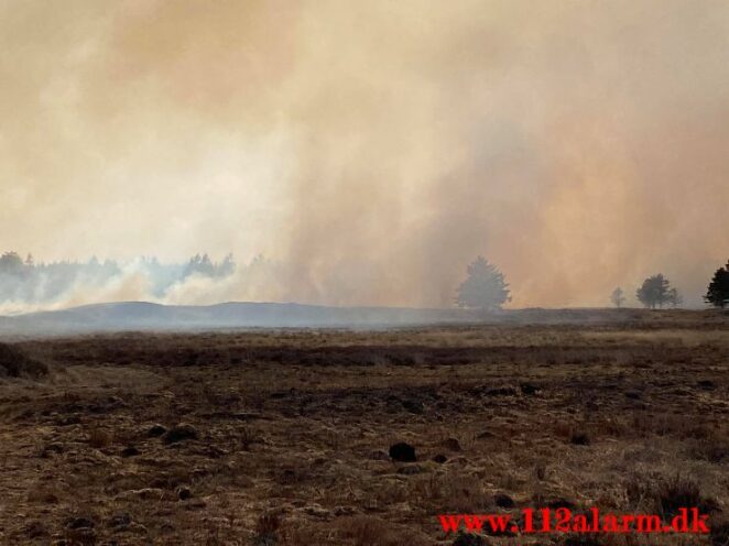 Brand på Randbøl Hede. Frederikshåbvej Randbøl. 17/04-2021. Kl. 15:22.