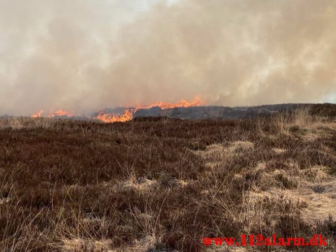 Brand på Randbøl Hede. Frederikshåbvej Randbøl. 17/04-2021. Kl. 15:22.