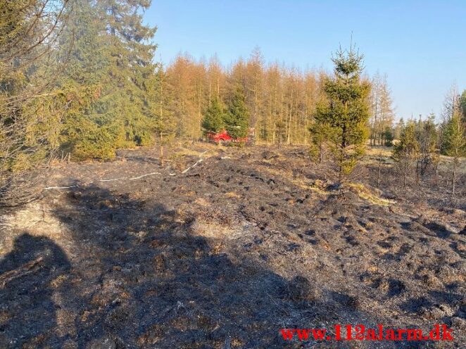 Brand på Randbøl Hede. Frederikshåbvej Randbøl. 17/04-2021. Kl. 15:22.