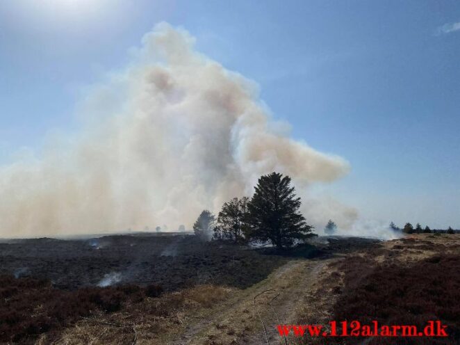 Brand på Randbøl Hede. Frederikshåbvej Randbøl. 17/04-2021. Kl. 15:22.