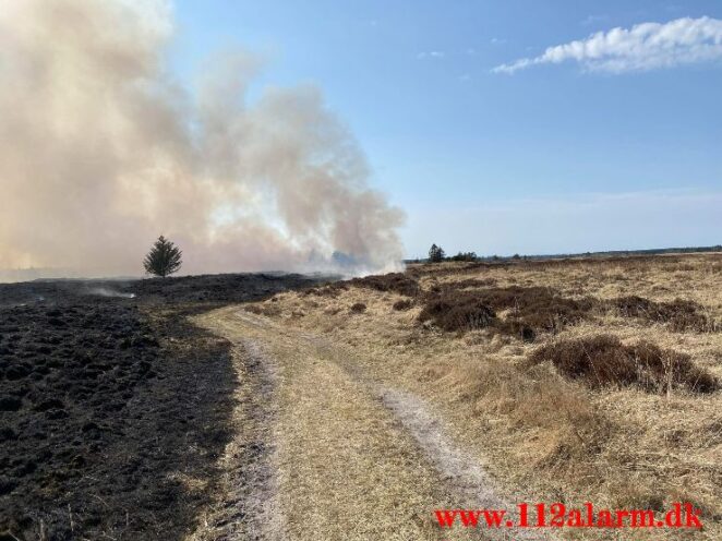 Brand på Randbøl Hede. Frederikshåbvej Randbøl. 17/04-2021. Kl. 15:22.