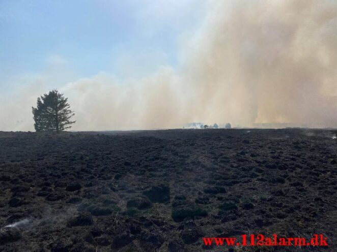 Brand på Randbøl Hede. Frederikshåbvej Randbøl. 17/04-2021. Kl. 15:22.