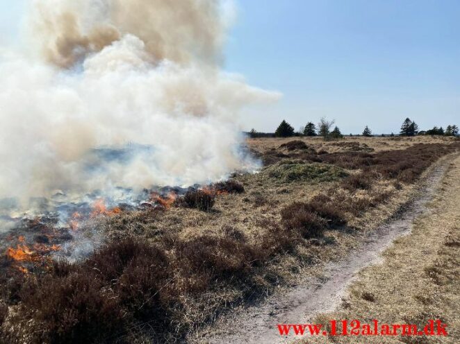 Brand på Randbøl Hede. Frederikshåbvej Randbøl. 17/04-2021. Kl. 15:22.