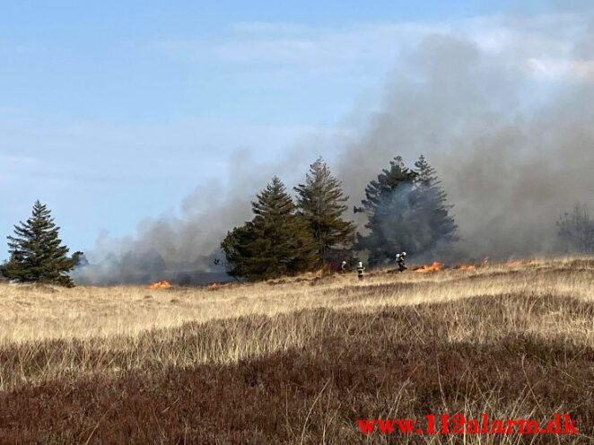 Brand på Randbøl Hede. Frederikshåbvej Randbøl. 17/04-2021. Kl. 15:22.