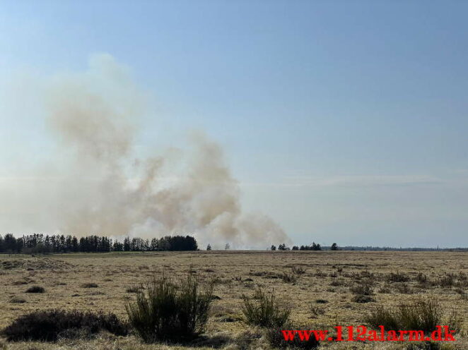 Brand på Randbøl Hede. Frederikshåbvej Randbøl. 17/04-2021. Kl. 15:22.