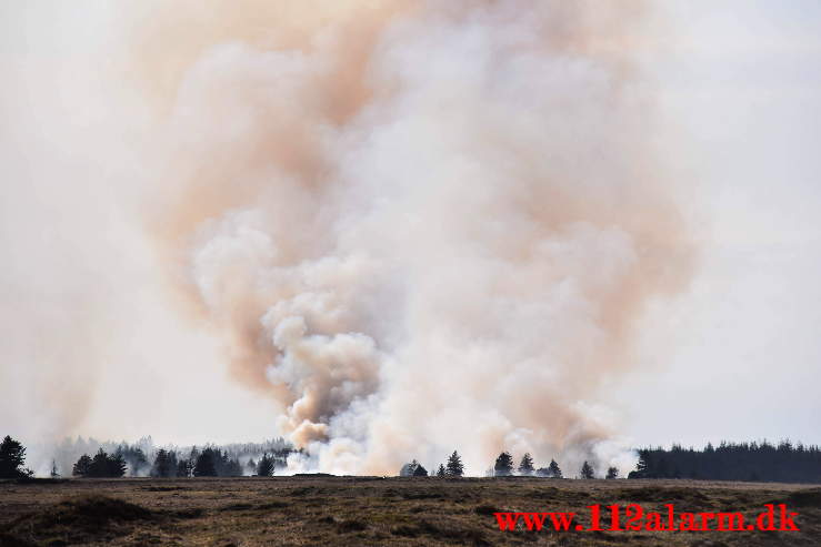 Brand på Randbøl Hede. Frederikshåbvej Randbøl. 17/04-2021. Kl. 15:22.