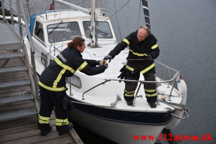 Sejlskib lækker olie. Vejle Havn. 18/05-2021. Kl. 21:13.