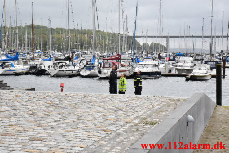 Tømmer stak ud over kanten. Havneøen 7100 Vejle. 23/05-2021. KL. 09:47.