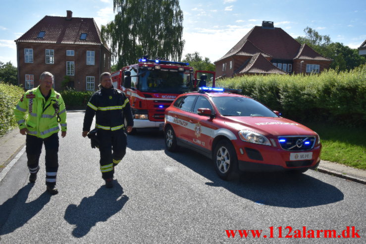 Endte på taget efter flyvetur. Foran Møllen i Vejle. 24/06-2021. Kl. 10:27.