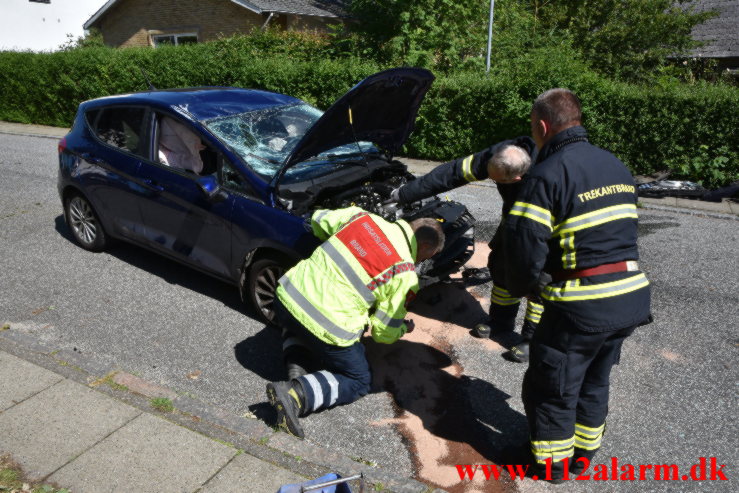 Endte på taget efter flyvetur. Foran Møllen i Vejle. 24/06-2021. Kl. 10:27.