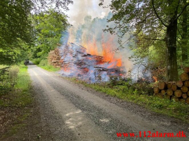 Naturbrand - Skovbrand. Baskærvej og Egtved Skovvej ved Egtved.04-04-2021. Kl. 12:39.