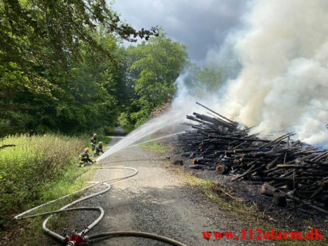 Naturbrand - Skovbrand. Baskærvej og Egtved Skovvej ved Egtved.04-04-2021. Kl. 12:39.