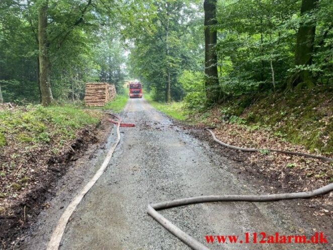 Naturbrand - Skovbrand. Baskærvej og Egtved Skovvej ved Egtved.04-04-2021. Kl. 12:39.