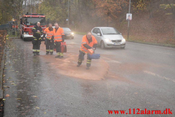 Dieselolie på rastepladsen. Ribe Landevej i Vejle. 15/11-2021. KL. 10:24.